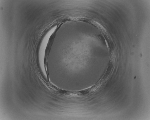 X0000081330405200701251838