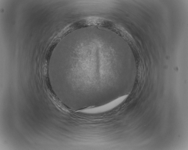 X0000081330413200701251838