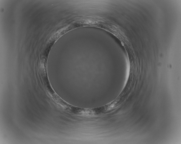 X0000081330415200701251838