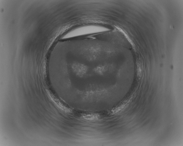 X0000081330447200701251837