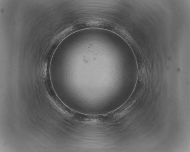 X0000081330454200701251837