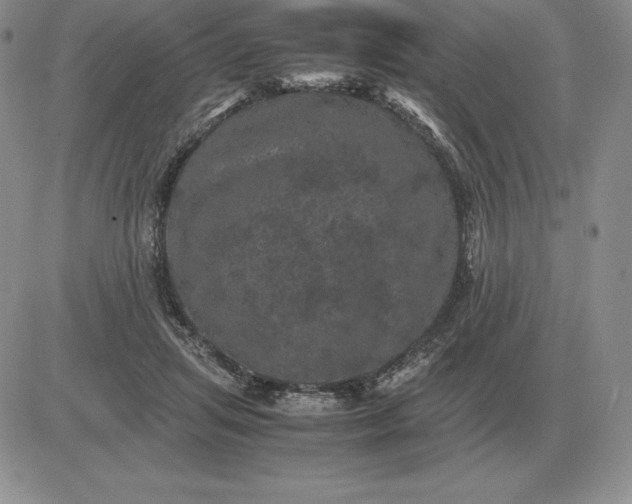 X0000081330455200701251837