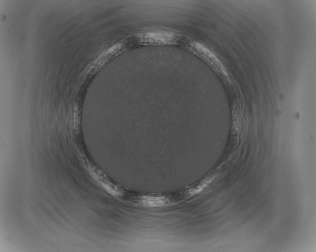 X0000081330457200701251837