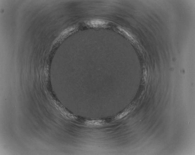 X0000081330461200701251837