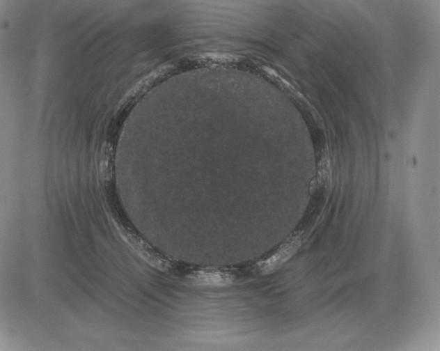 X0000081330464200701251837
