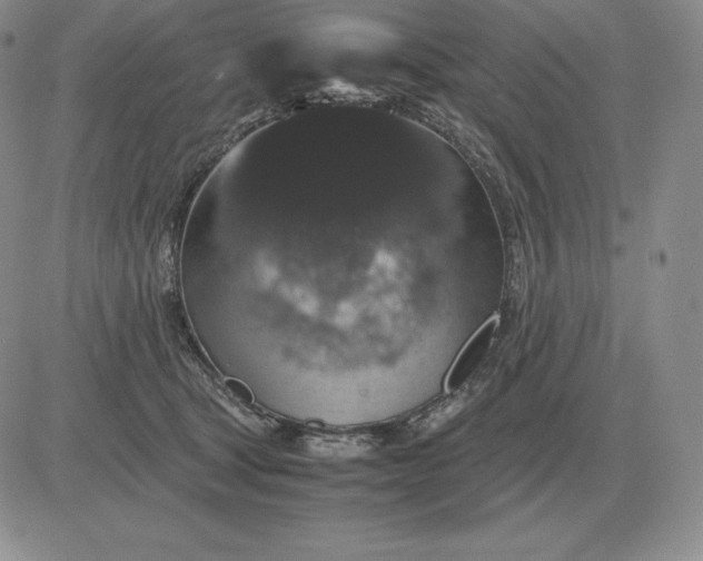 X0000081330465200701251837