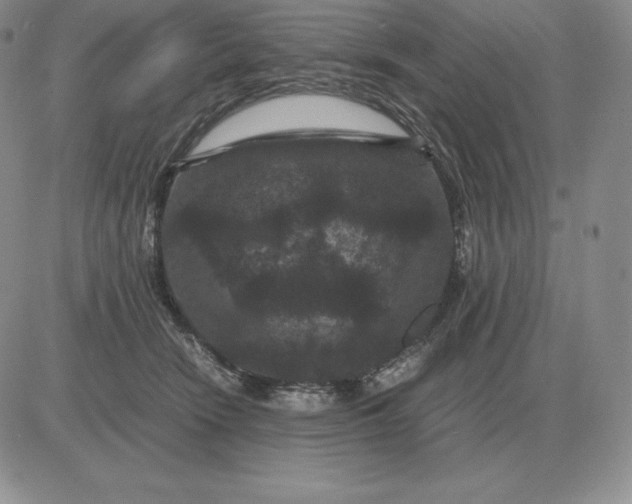 X0000081330466200701251837