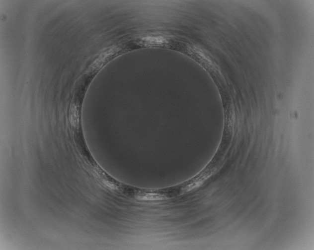 X0000081330467200701251837