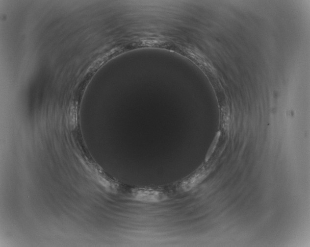 X0000081330471200701251838