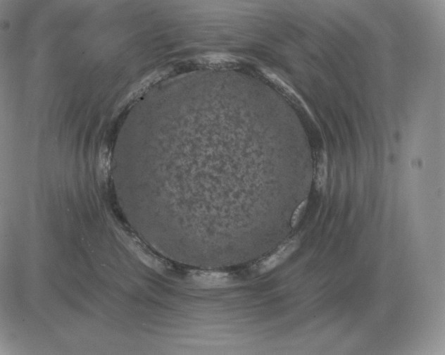 X0000081330476200701251838