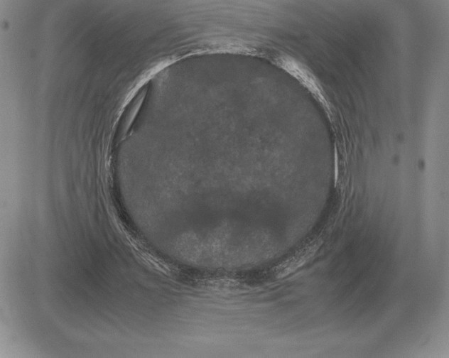 X0000081330483200701251837