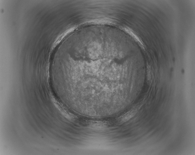 X0000081330486200701251837