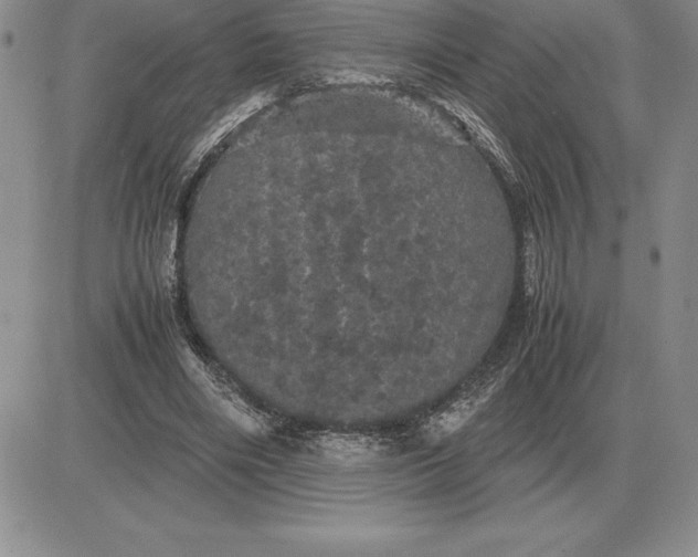 X0000081330490200701251837