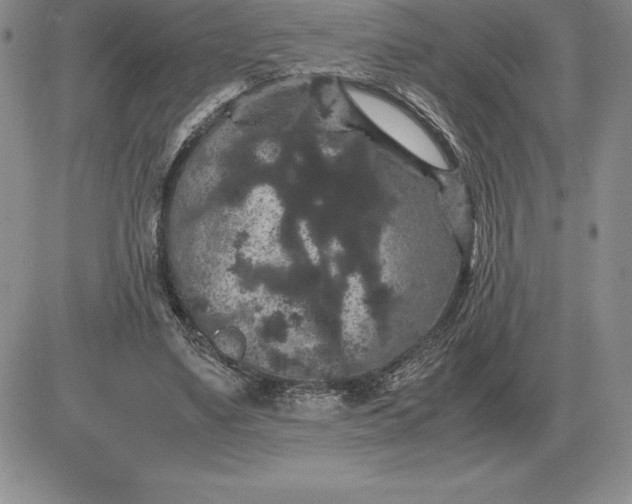 X0000081330491200701251837