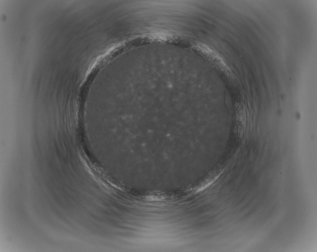 X0000081330496200701251837