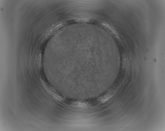 X0000081330498200701251837