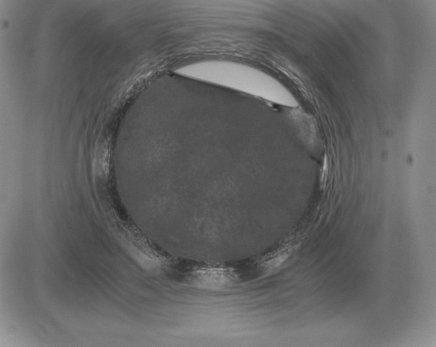 X0000081330499200701251837