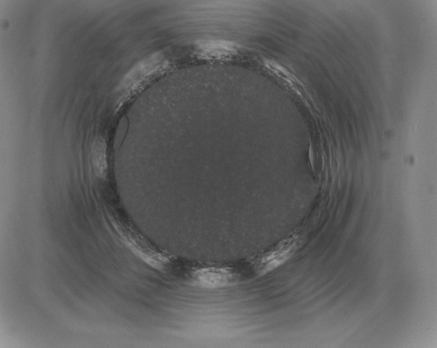 X0000081330508200701251836
