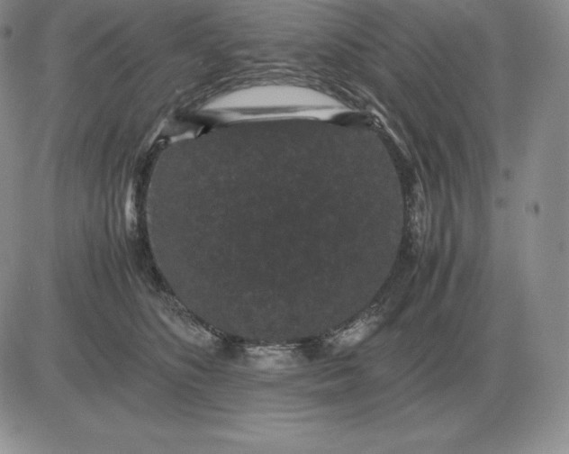 X0000081330516200701251836