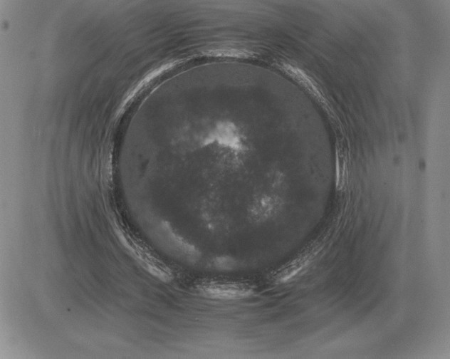 X0000081330531200701251835