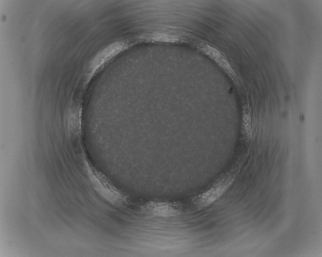 X0000081330534200701251835