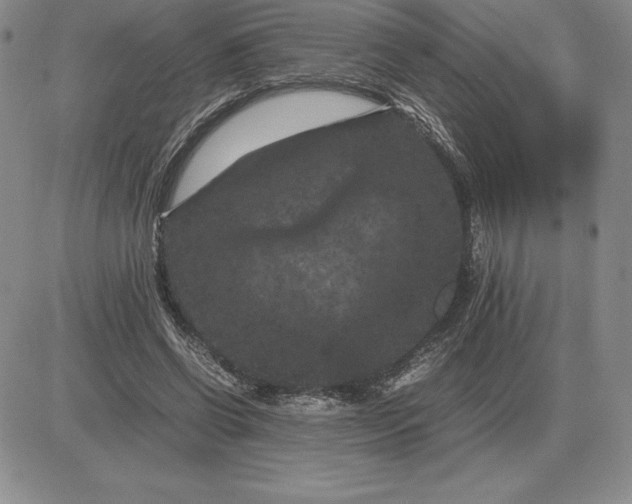 X0000081330542200701251836