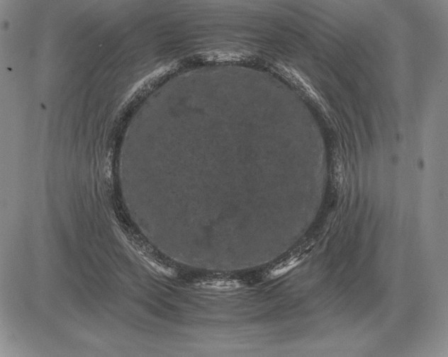 X0000081330543200701251836