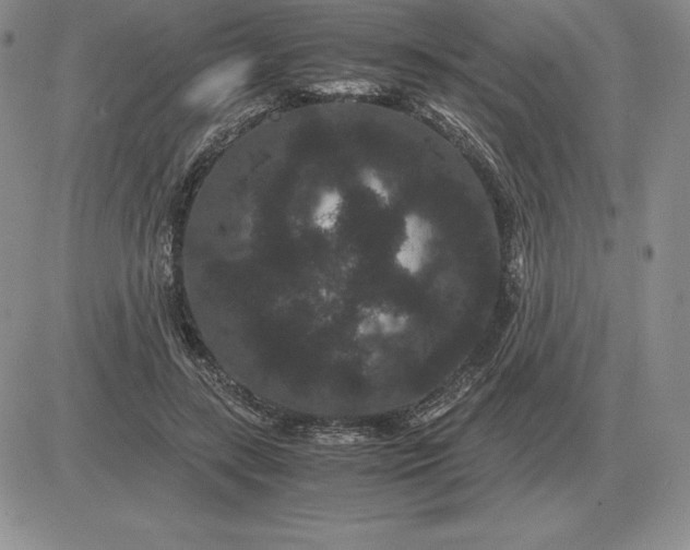 X0000081330547200701251836