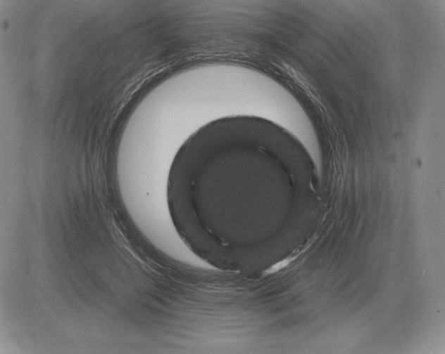 X0000081330548200701251836