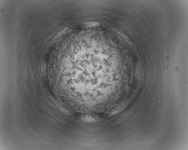 X0000081330565200701251836