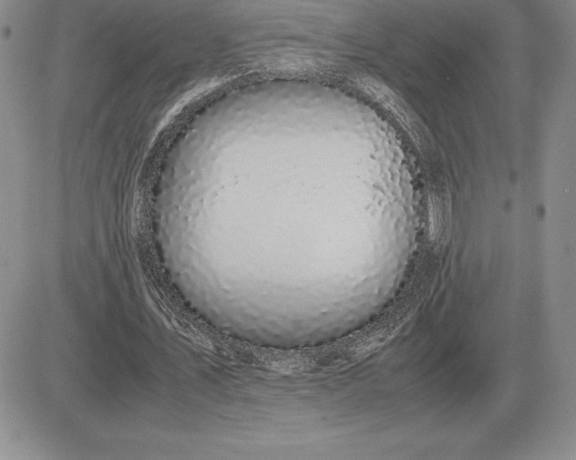 X0000081330579200701251835