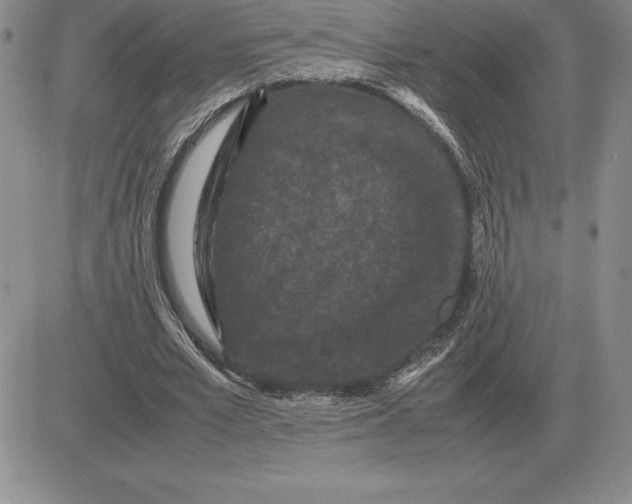 X0000081330581200701251835