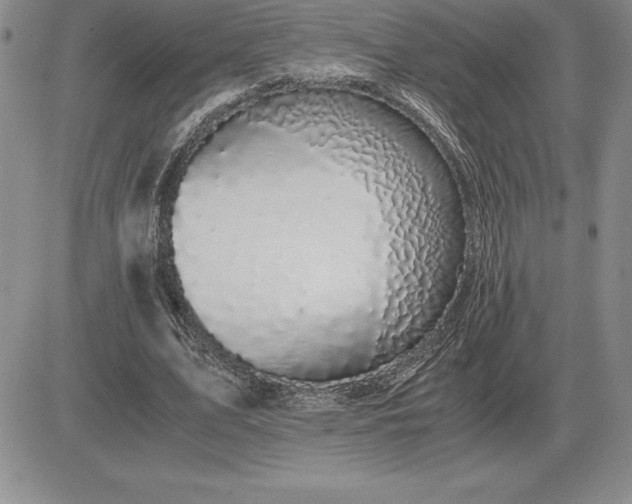 X0000081330583200701251835