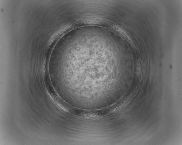 X0000081330586200701251835
