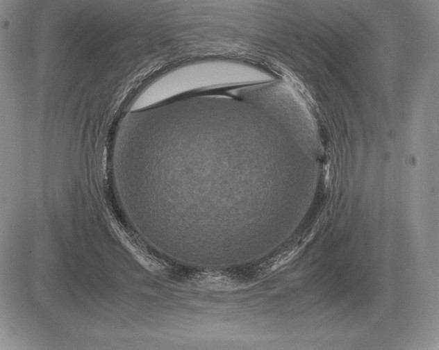 X0000081330589200701251835