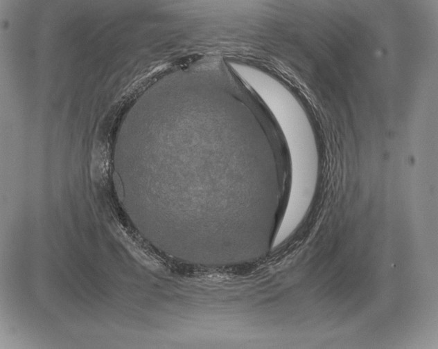 X0000081330593200701251835