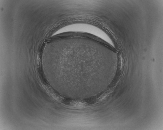 X0000081330597200701251835