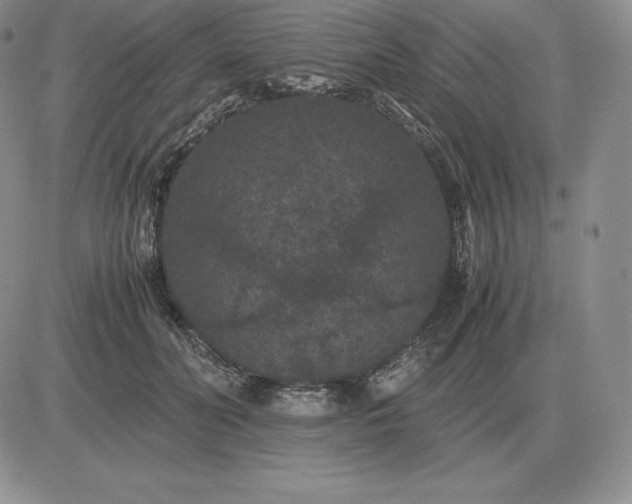 X0000081330606200701251835