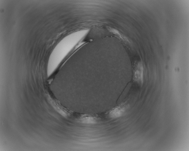 X0000081330620200701251835