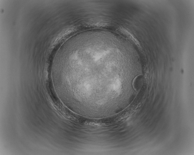 X0000081330635200701251834