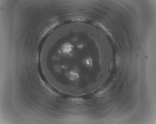 X0000081330637200701251834