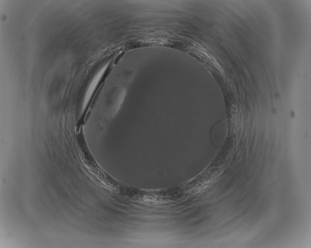 X0000081330641200701251834