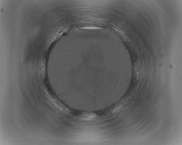 X0000081330642200701251834