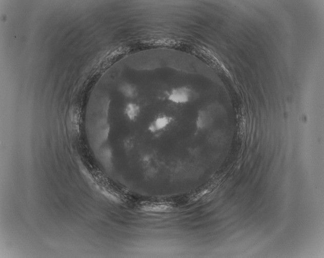 X0000081330643200701251834