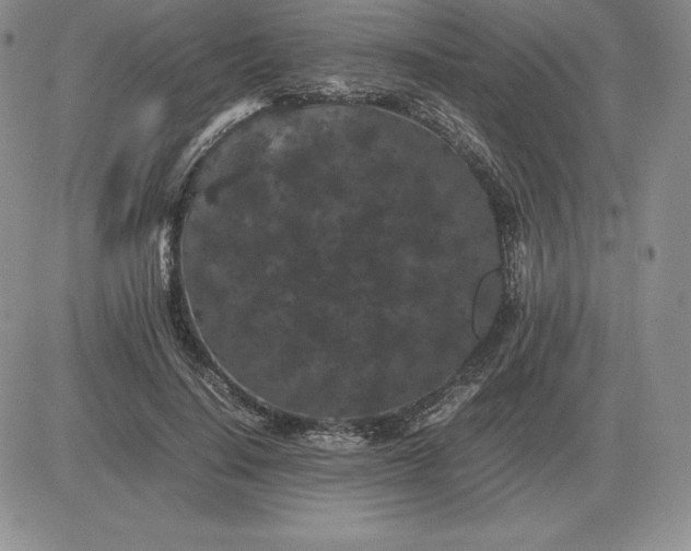X0000081330644200701251834