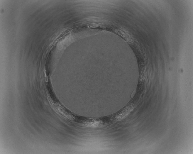 X0000081330646200701251834