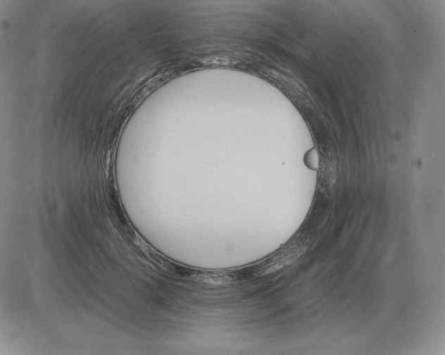 X0000081330652200701251834