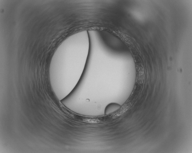 X0000081330654200701251834