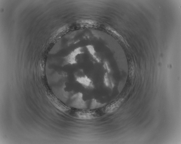 X0000081330661200701251834