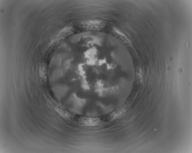 X0000081330663200701251834